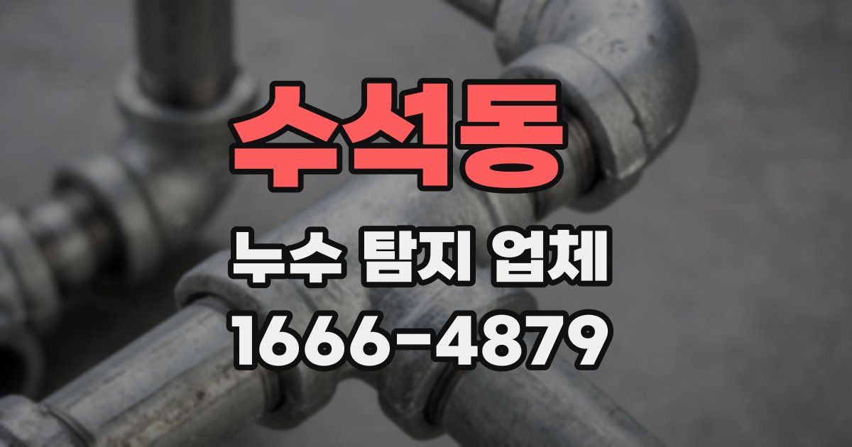 수석동 누수 탐지 업체
