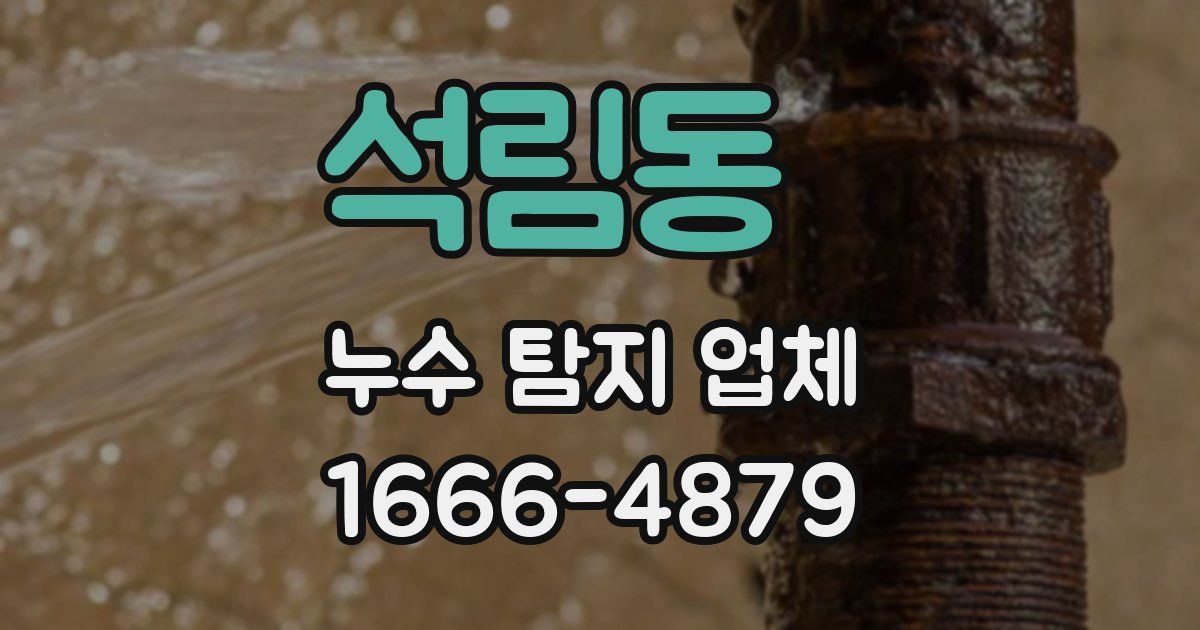 석림동 누수 탐지 업체