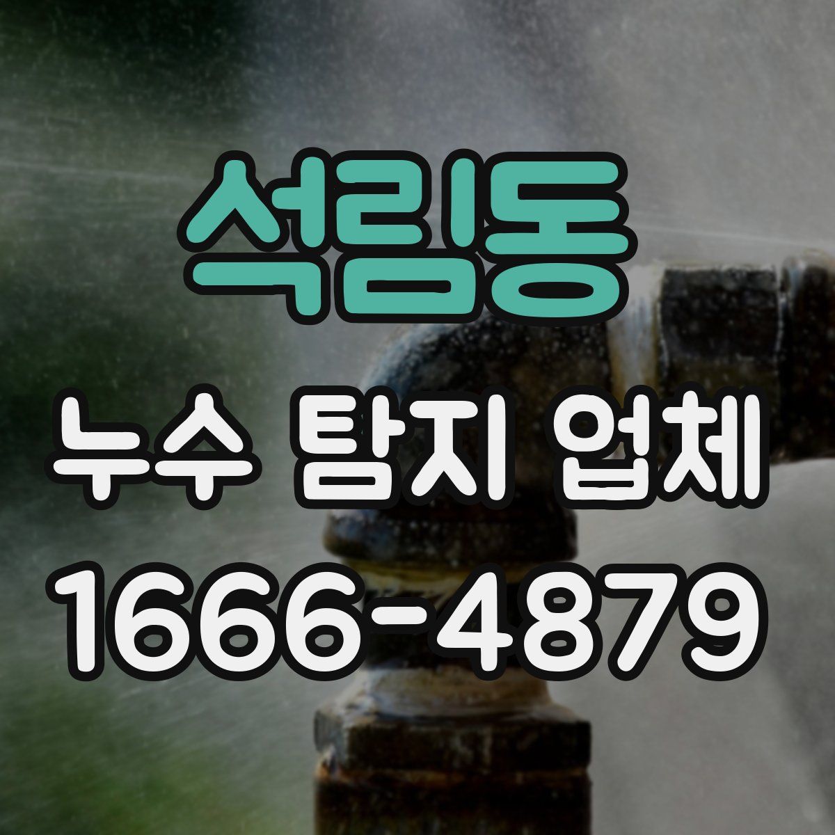 석림동 누수 탐지 업체
