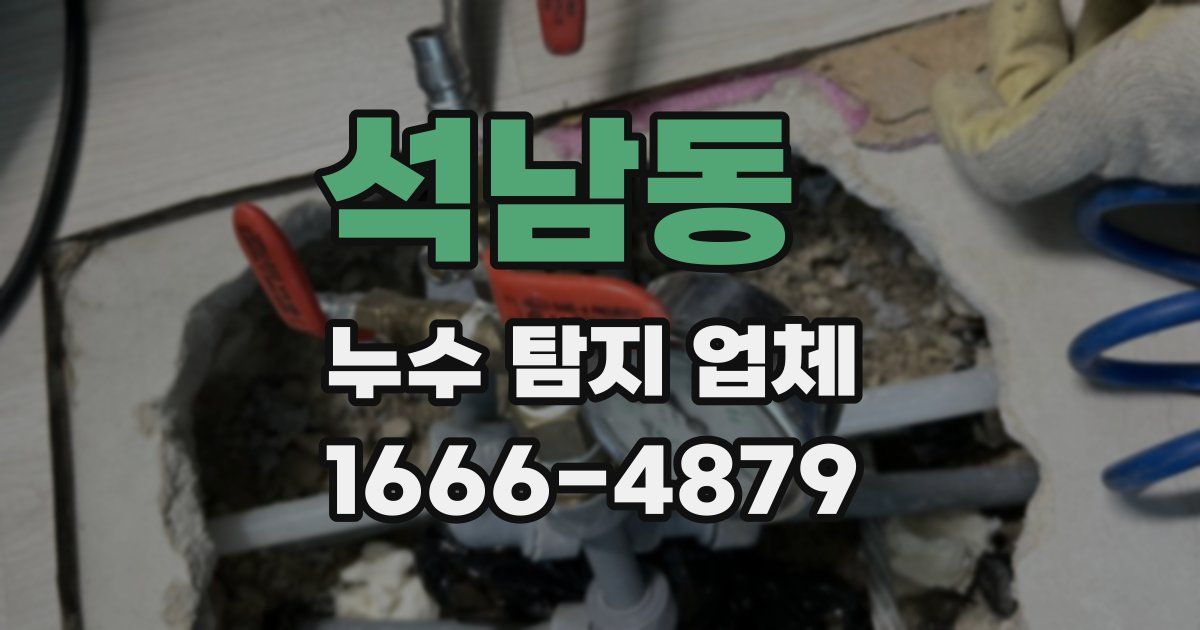 석남동 누수 탐지 업체