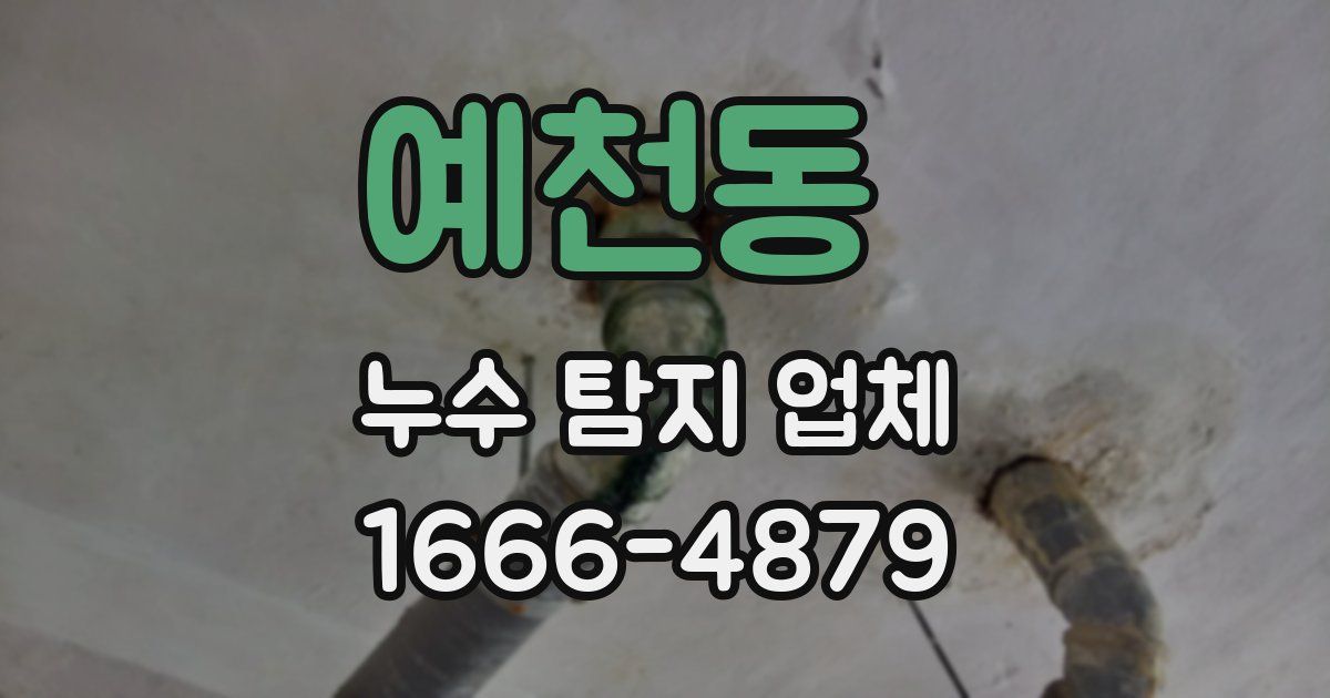 예천동 누수 탐지 업체