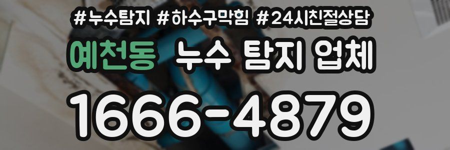 예천동 누수 탐지 업체