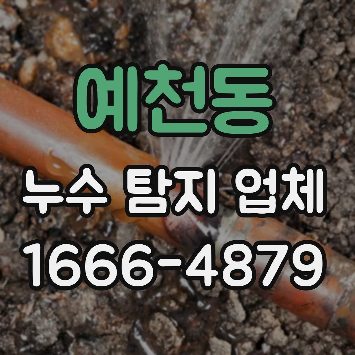 예천동 누수 탐지 업체