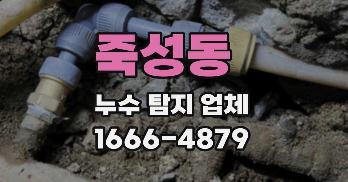 죽성동 누수 탐지 업체