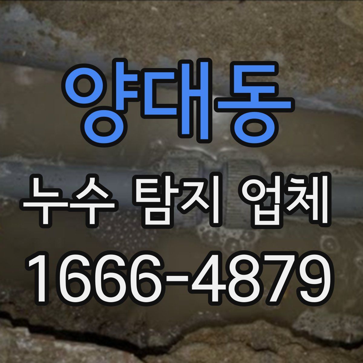 양대동 누수 탐지 업체