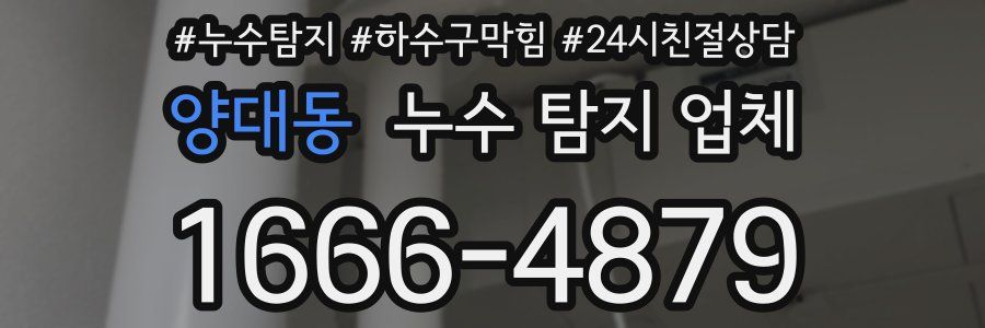 양대동 누수 탐지 업체