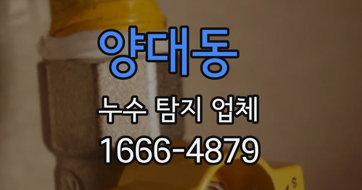 양대동 누수 탐지 업체