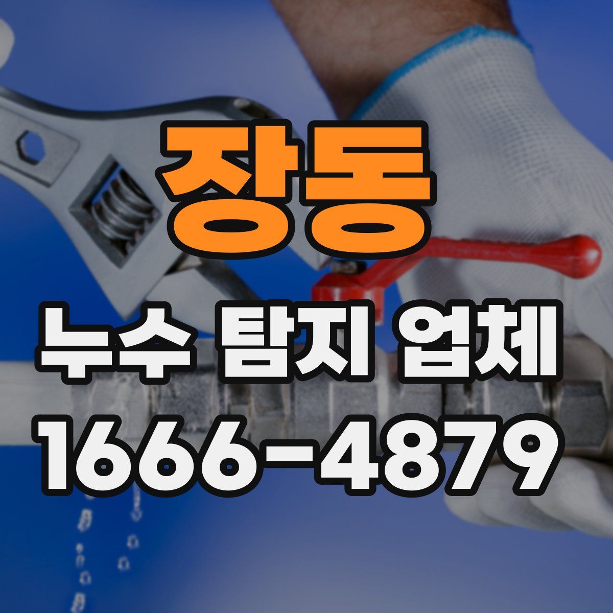 장동 누수 탐지 업체