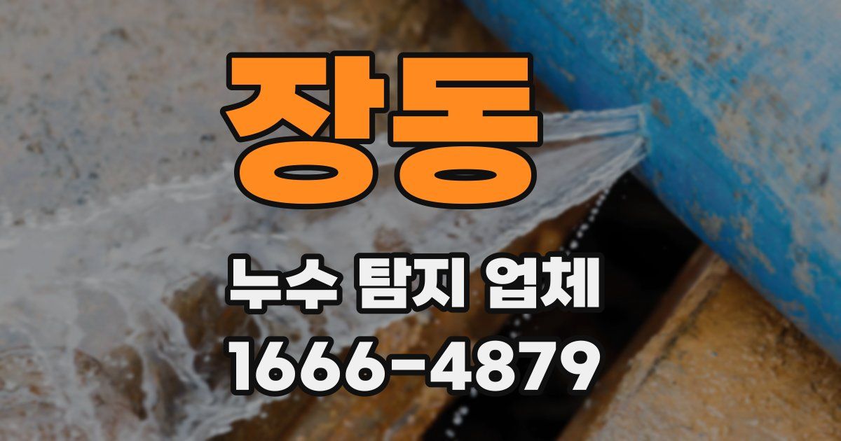 장동 누수 탐지 업체