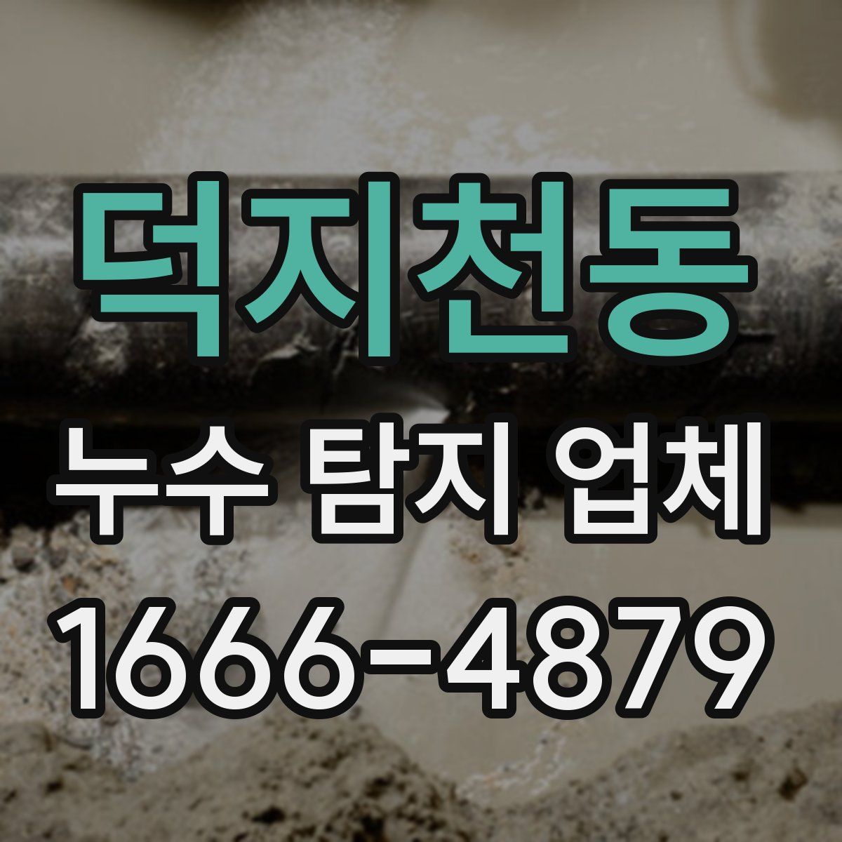 덕지천동 누수 탐지 업체