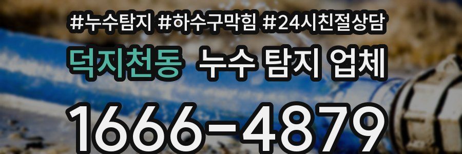 덕지천동 누수 탐지 업체