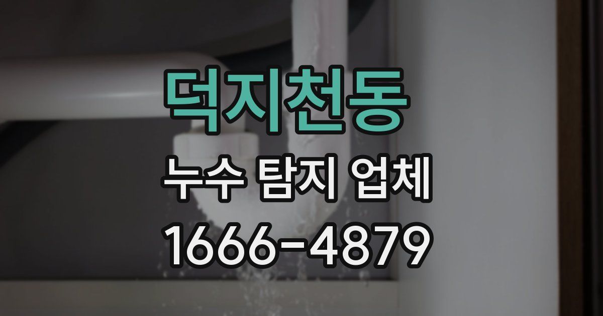 덕지천동 누수 탐지 업체