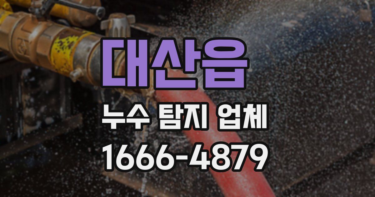 대산읍 누수 탐지 업체