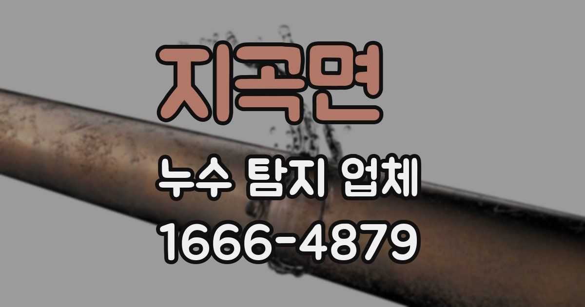 지곡면 누수 탐지 업체
