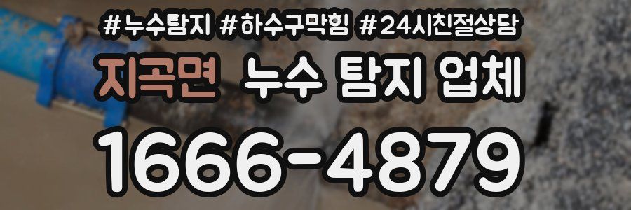 지곡면 누수 탐지 업체