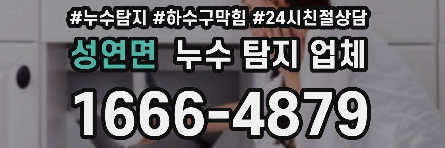 성연면 누수 탐지 업체