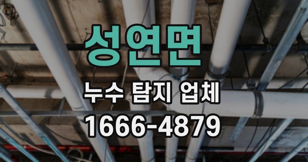 성연면 누수 탐지 업체