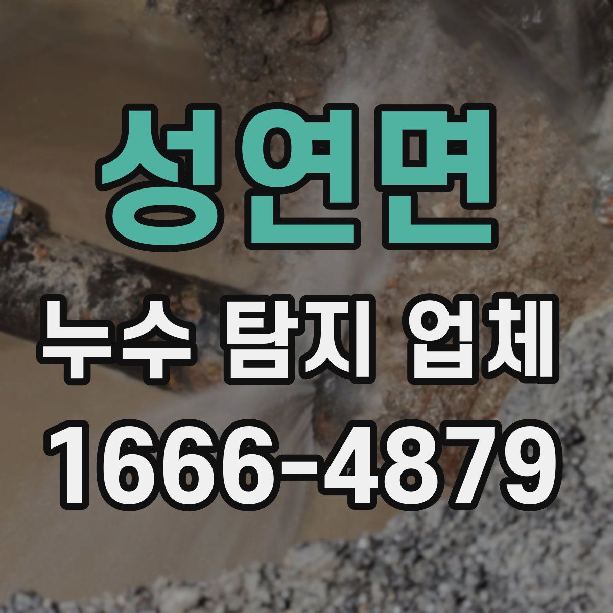 성연면 누수 탐지 업체