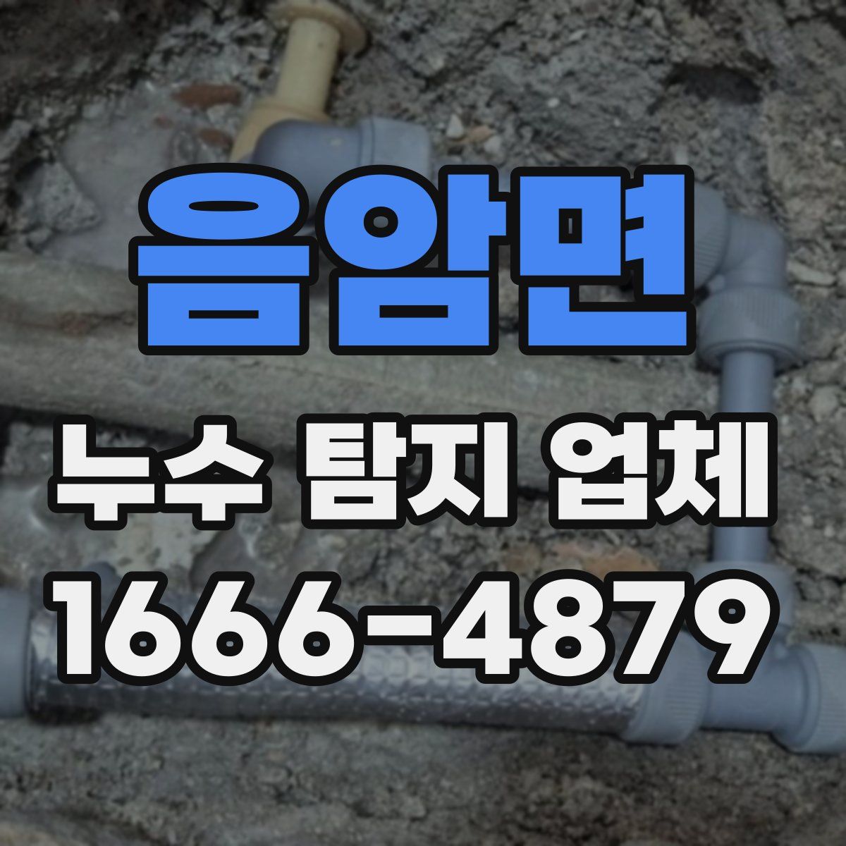음암면 누수 탐지 업체