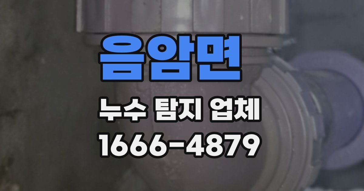 음암면 누수 탐지 업체