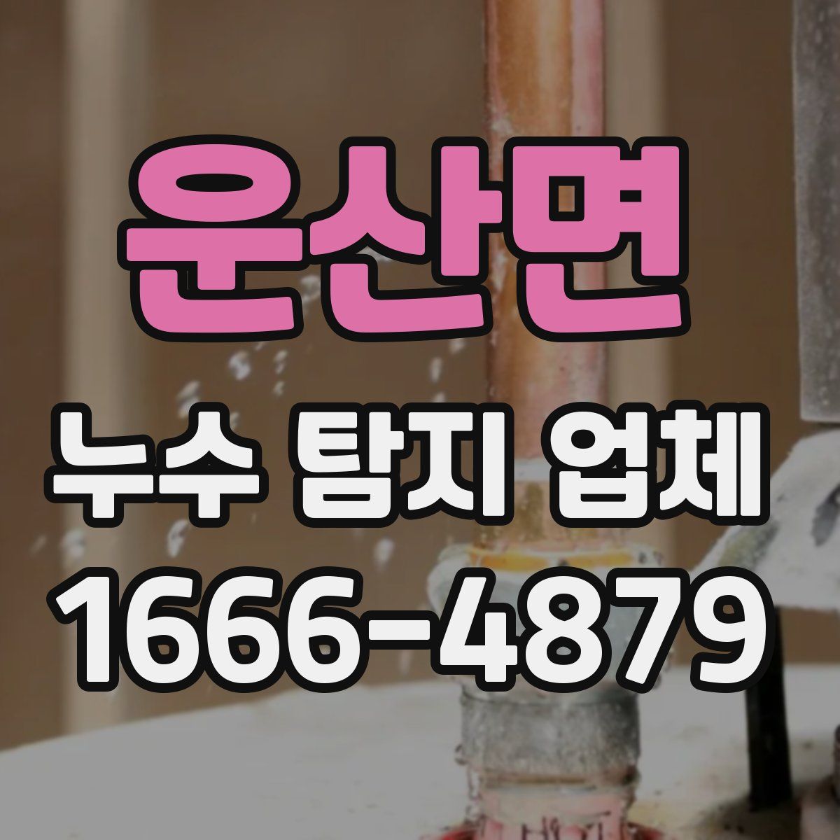 운산면 누수 탐지 업체
