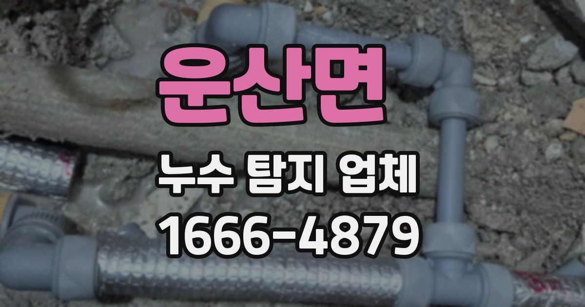 운산면 누수 탐지 업체