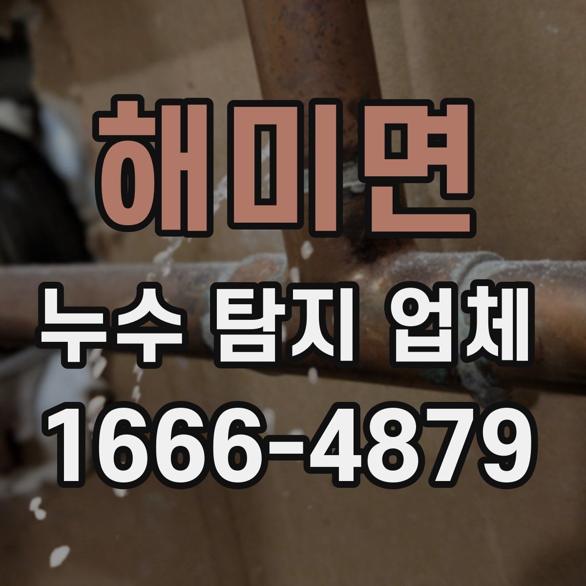 해미면 누수 탐지 업체