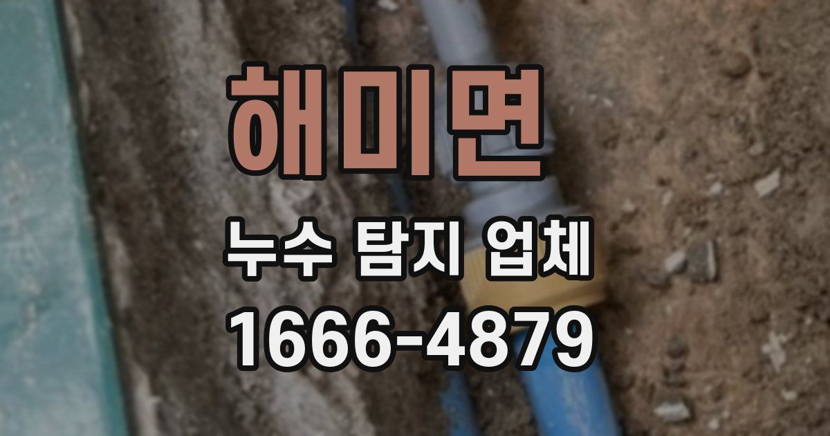 해미면 누수 탐지 업체