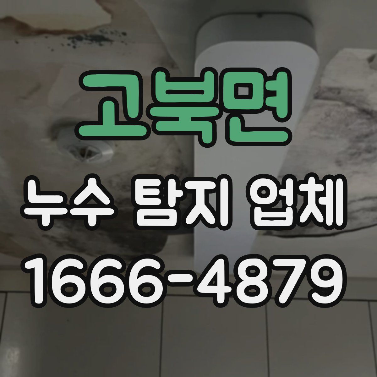 고북면 누수 탐지 업체