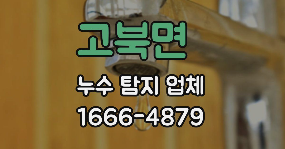 고북면 누수 탐지 업체