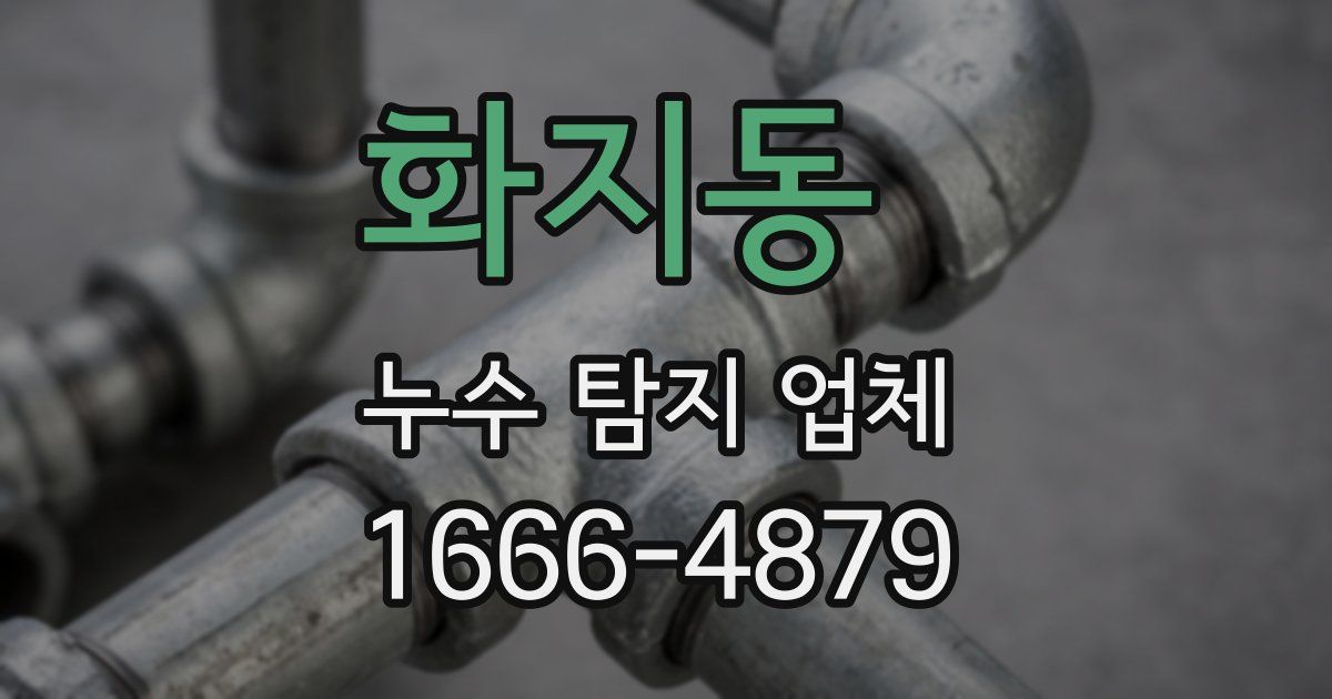 화지동 누수 탐지 업체