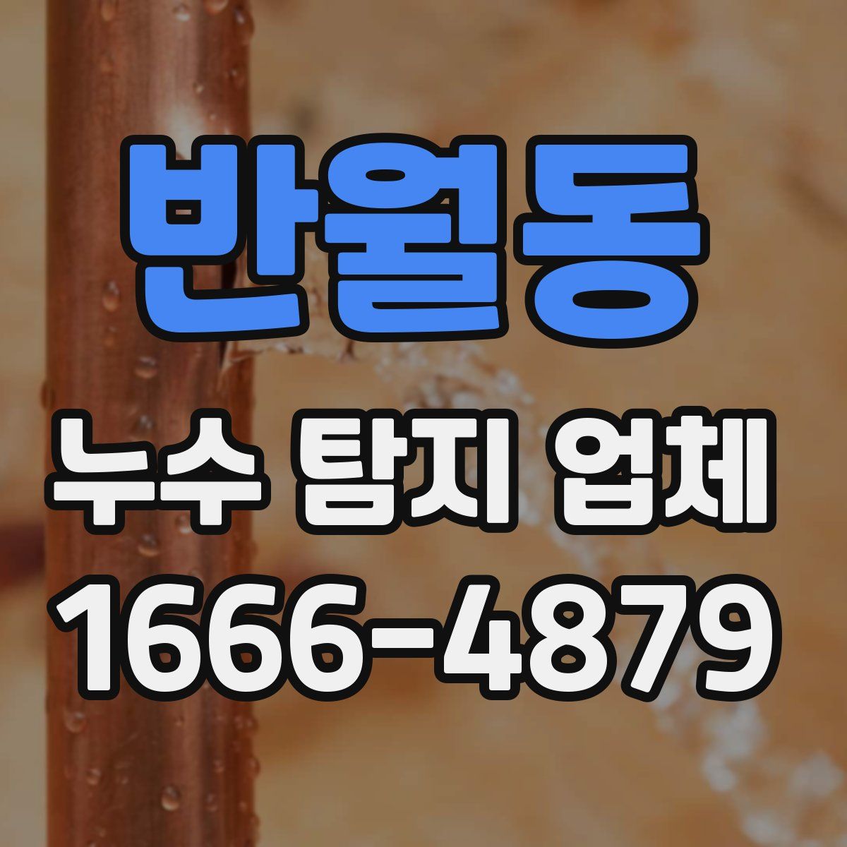 반월동 누수 탐지 업체
