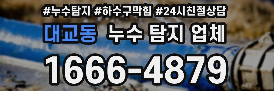 대교동 누수 탐지 업체