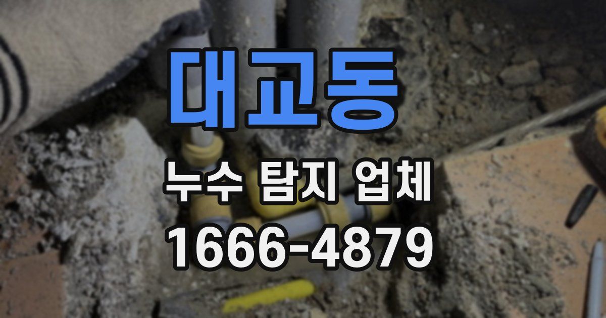 대교동 누수 탐지 업체