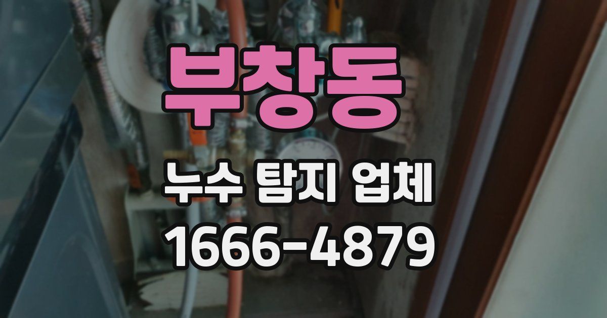 부창동 누수 탐지 업체
