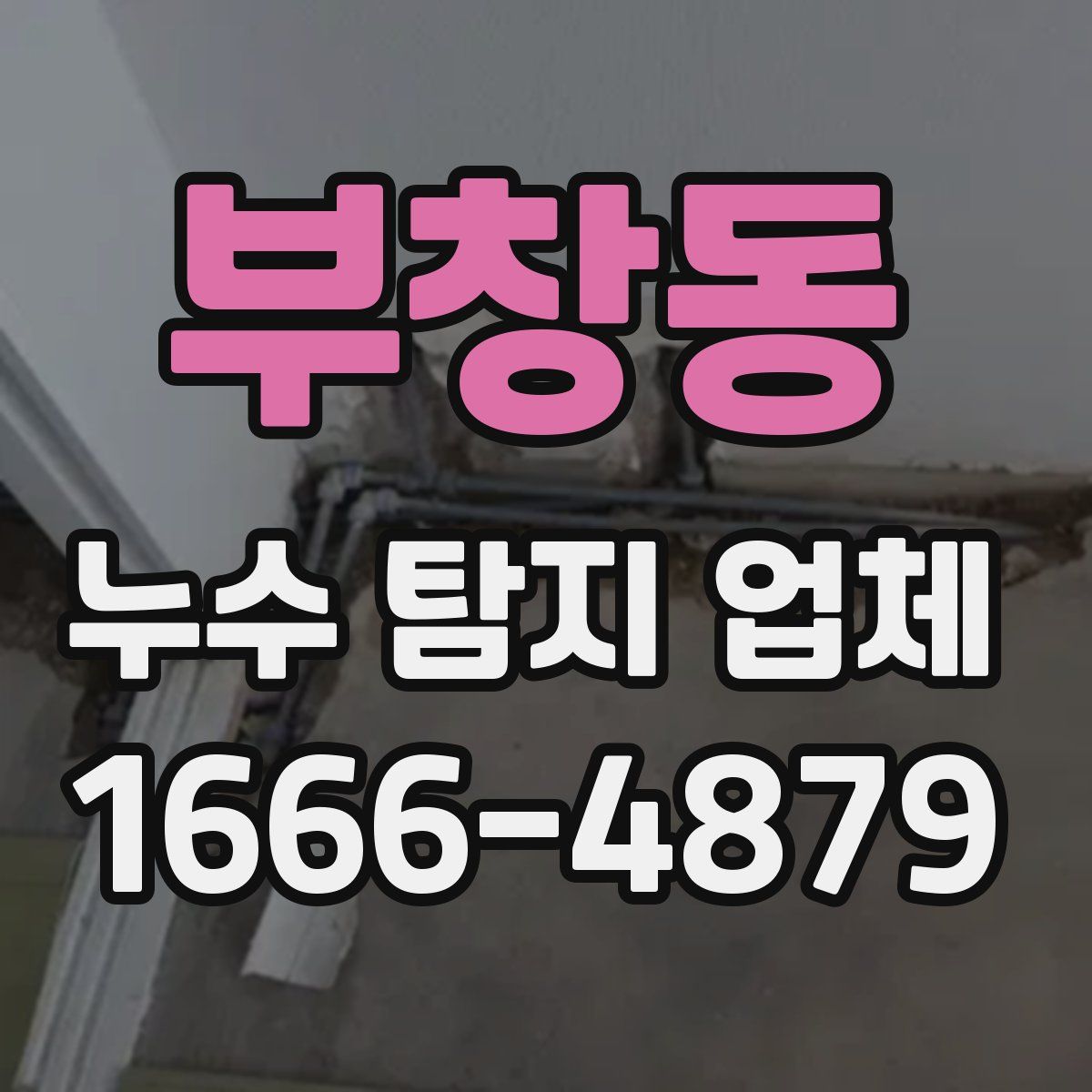 부창동 누수 탐지 업체