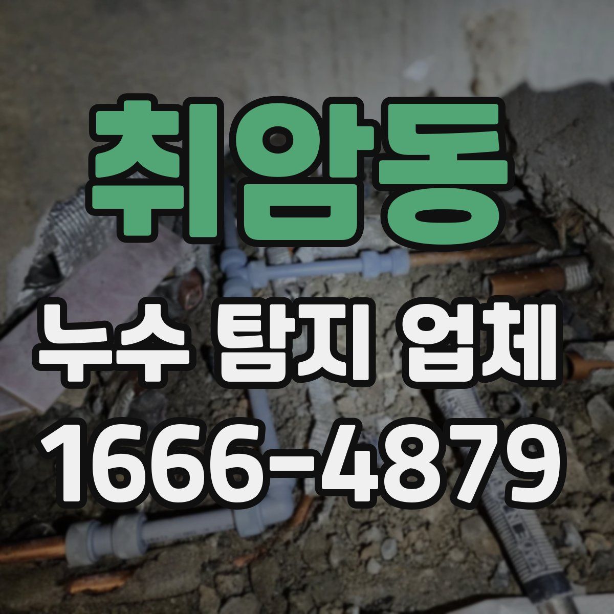 취암동 누수 탐지 업체