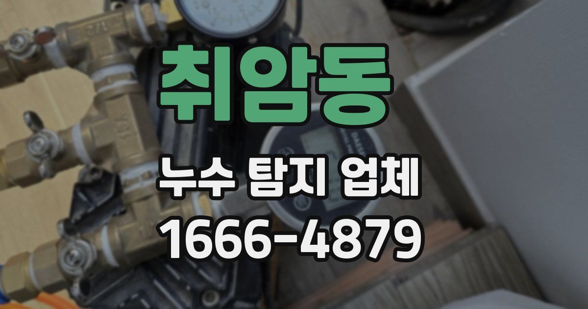 취암동 누수 탐지 업체