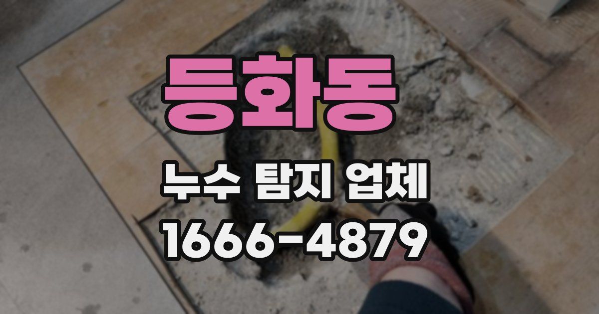 등화동 누수 탐지 업체