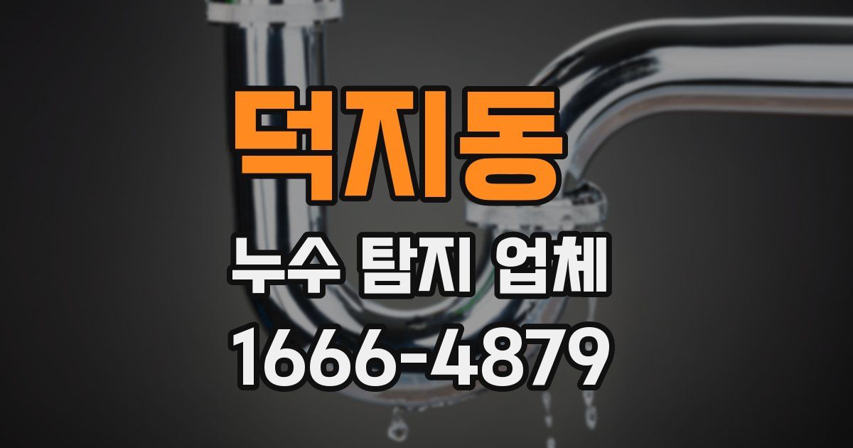 덕지동 누수 탐지 업체