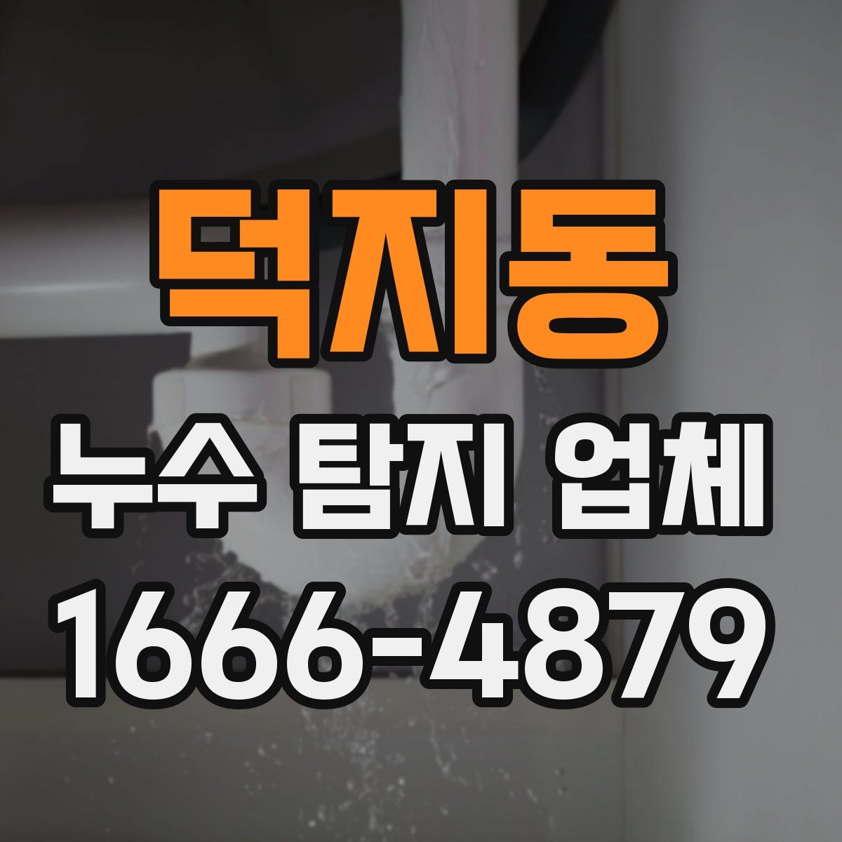 덕지동 누수 탐지 업체