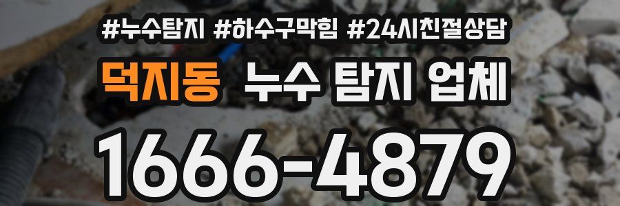 덕지동 누수 탐지 업체