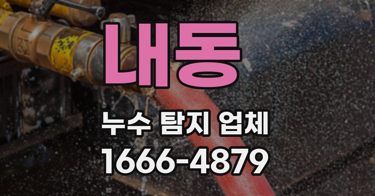 내동 누수 탐지 업체
