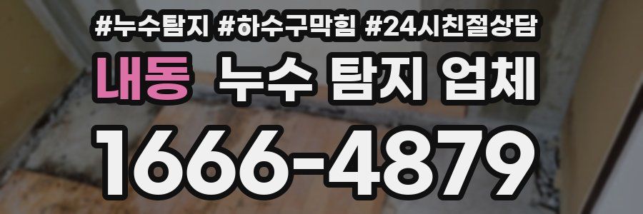 내동 누수 탐지 업체