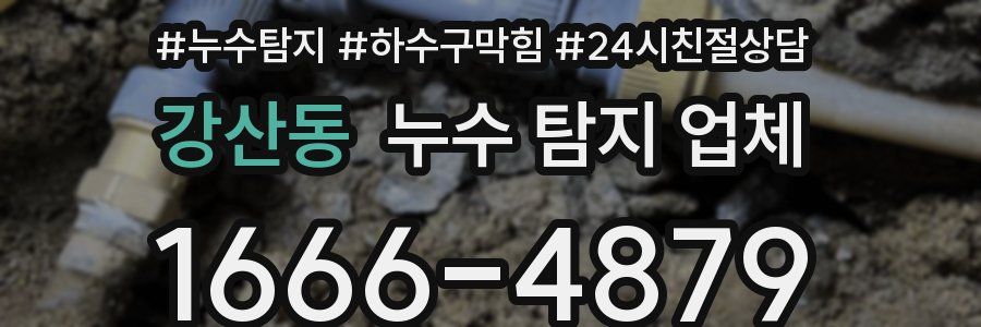 강산동 누수 탐지 업체