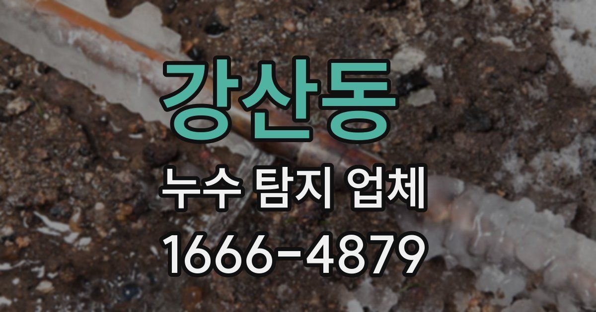 강산동 누수 탐지 업체
