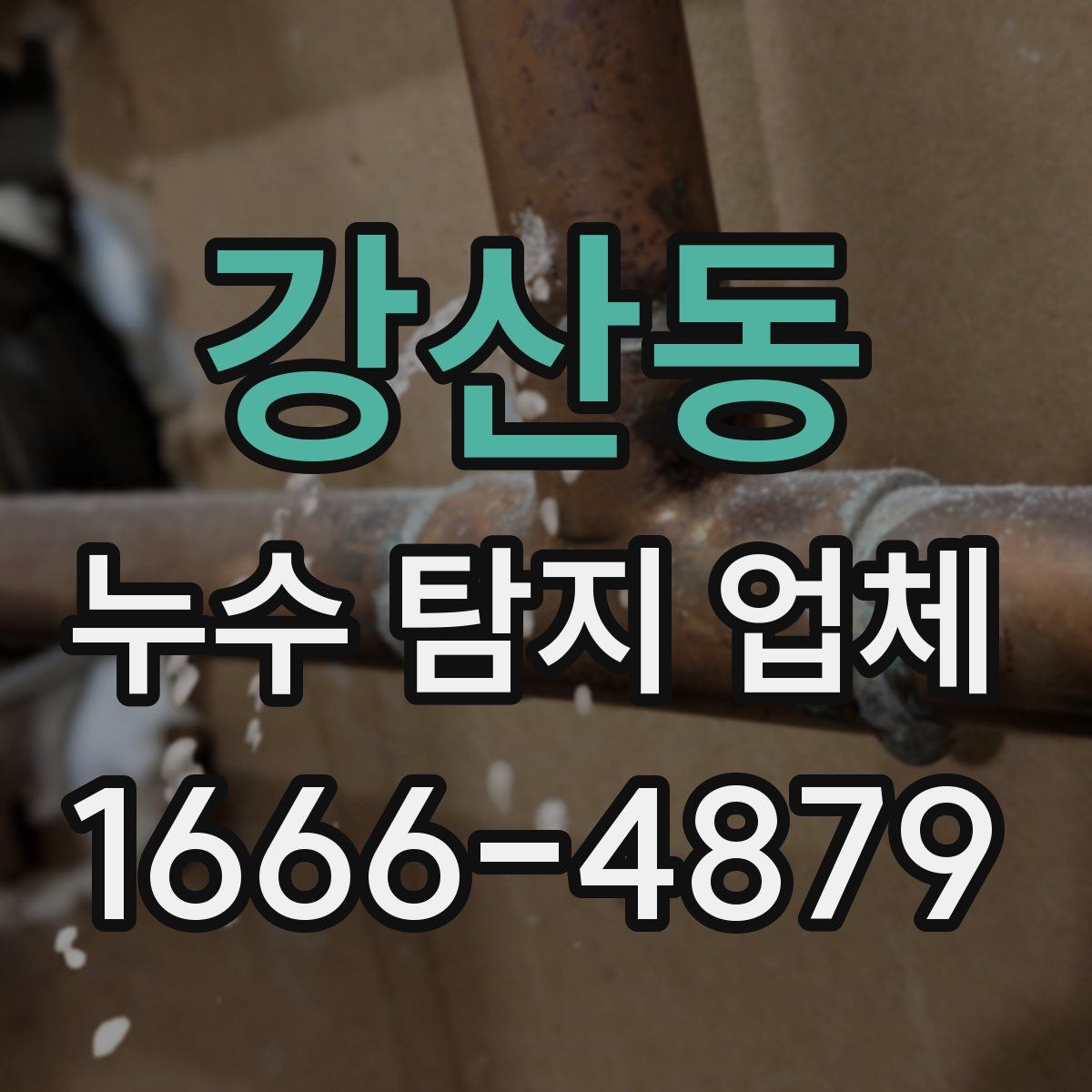 강산동 누수 탐지 업체
