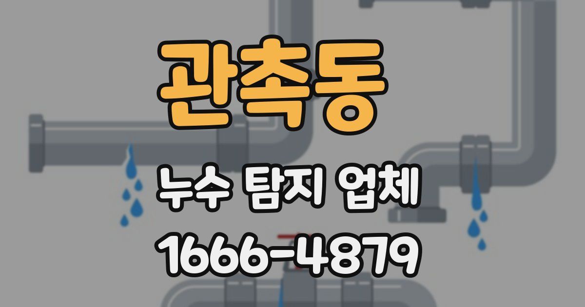 관촉동 누수 탐지 업체
