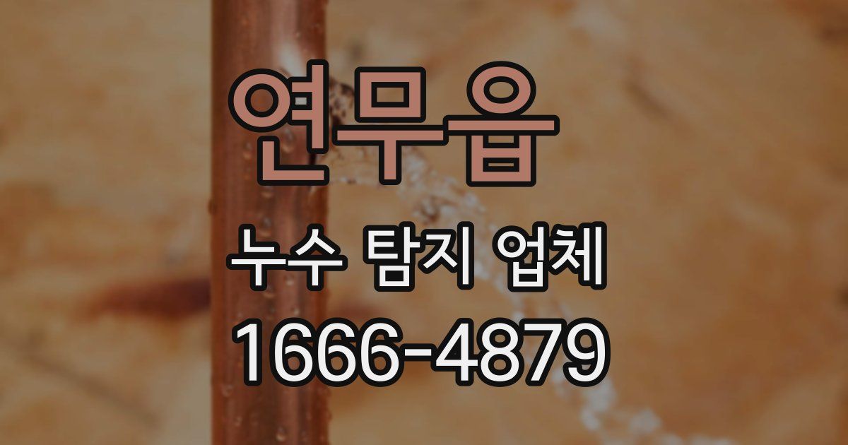 연무읍 누수 탐지 업체
