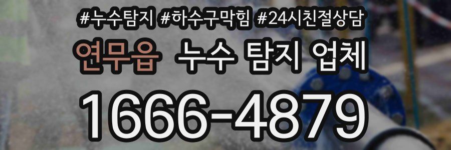 연무읍 누수 탐지 업체